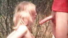 Էմի Անդերսենը մինետ մայիս ամառ