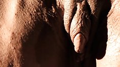 Pitchers քաղցր Գալը ցույց է տալիս գեղեցիկ մարմին ն վարդագույն pussy