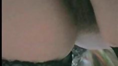 Ալեքս հնարավորություն է վերցնում մեծ աքաղաղ ապրել