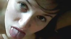 Hi-իմ փոքրիկ ընկեր