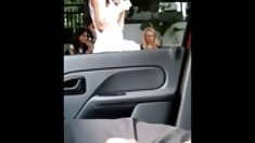 հարված էր ստացել սև աքաղաղ