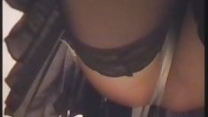 Շեկ գուլպա գնում է մեծ կոշտ աքաղաղ