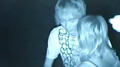 Մեծ ծիծիկներ