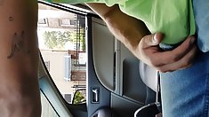 Ճապոնական գեղեցիկ - Մինետ